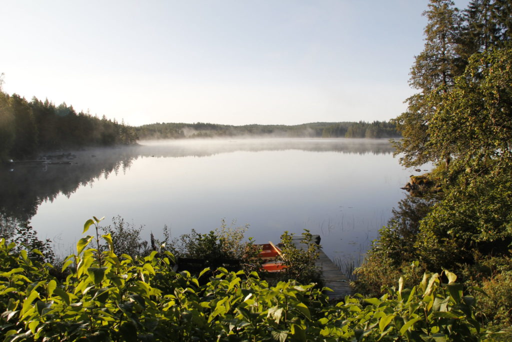 Schweden, See, morgens, Wald, See