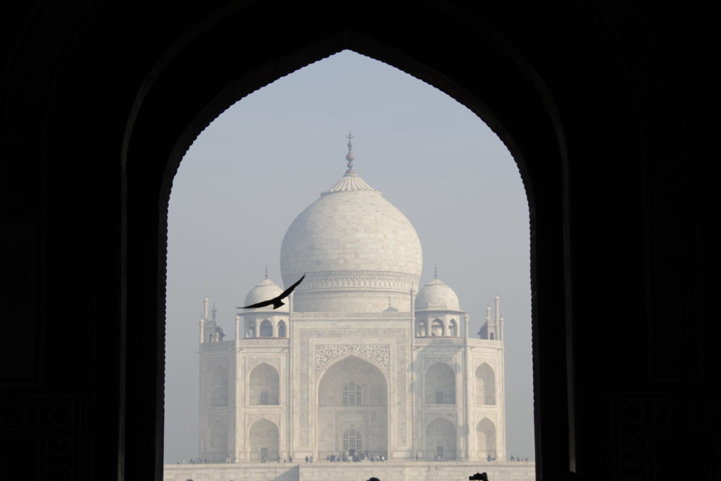 Taj Mahal, Vogel, Eingangstor, Entrance, Agra