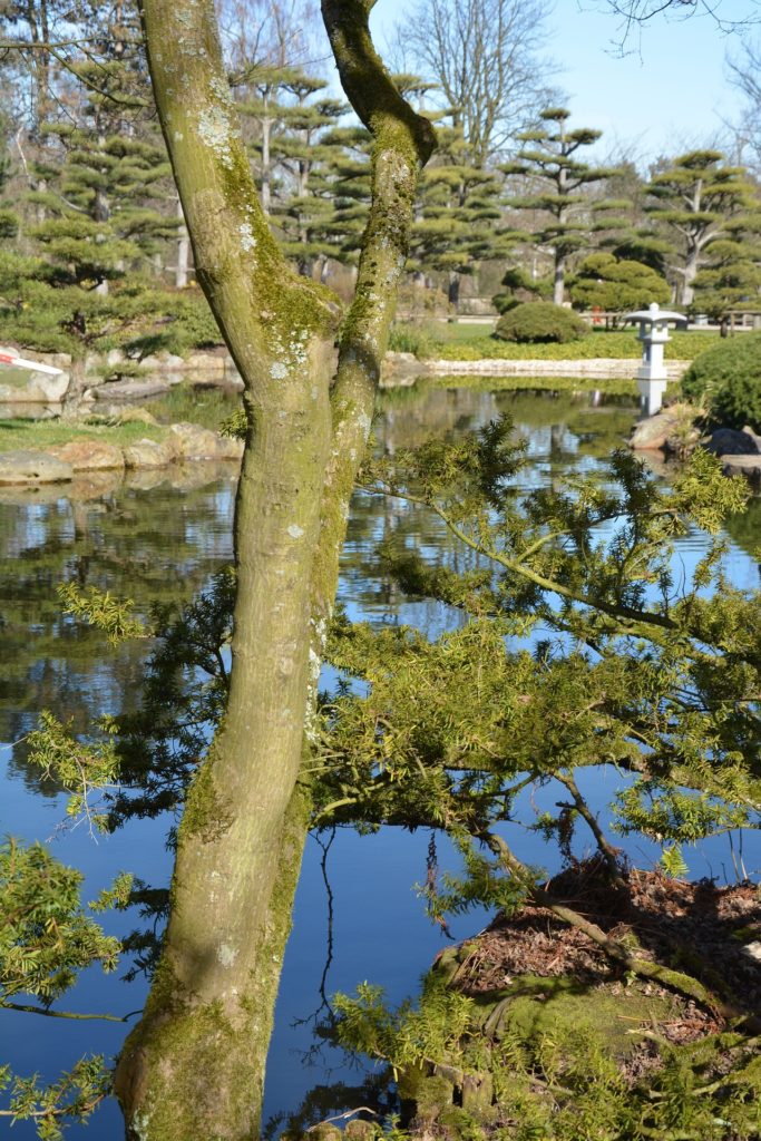 Japanischer Garten Nordpark Düsseldorf Nordrhein-Westfalen