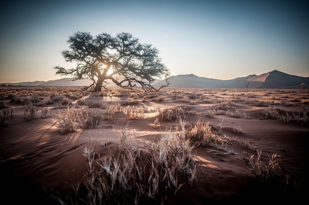 namibia