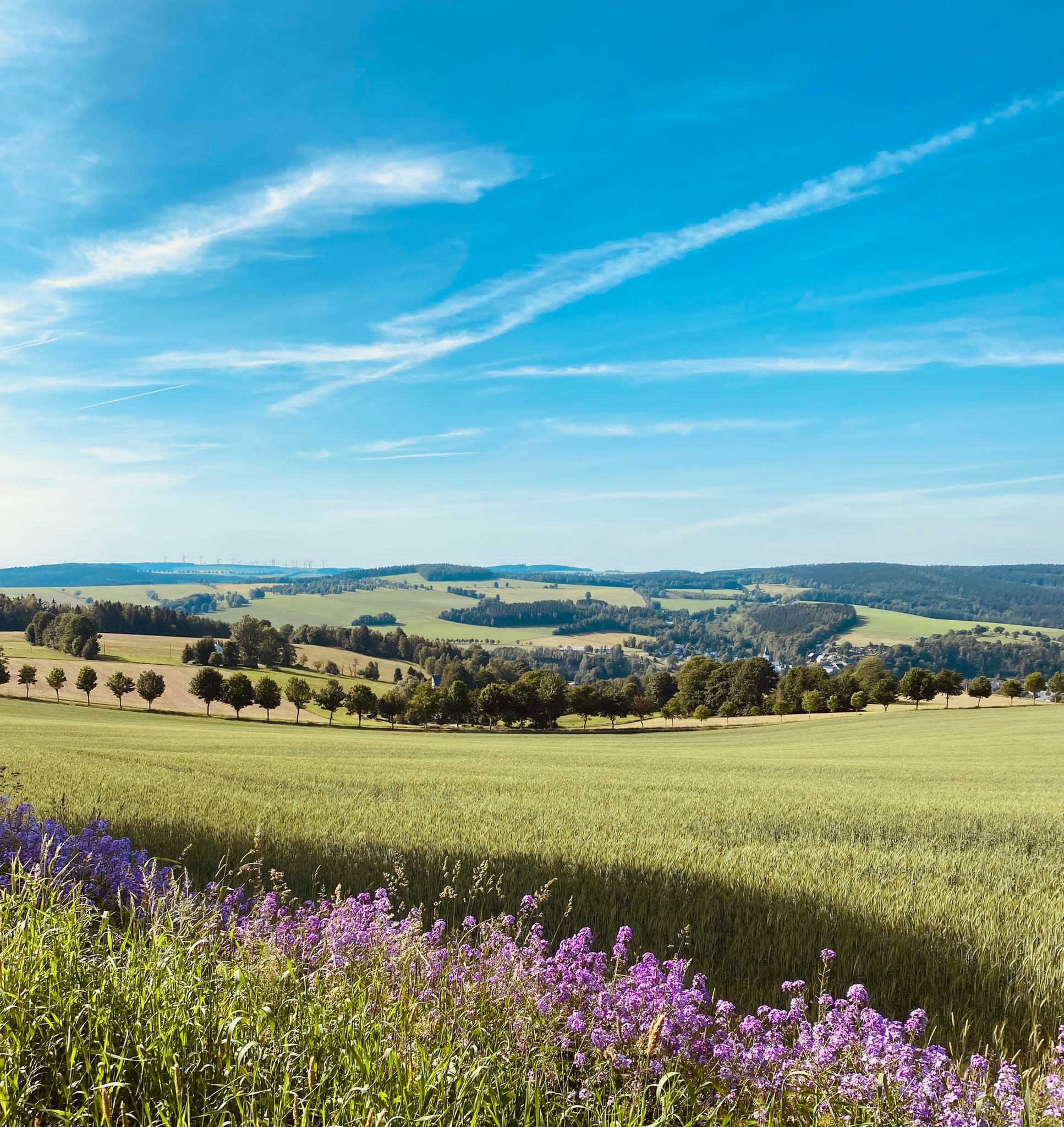 Landschaft im Erzgebirge