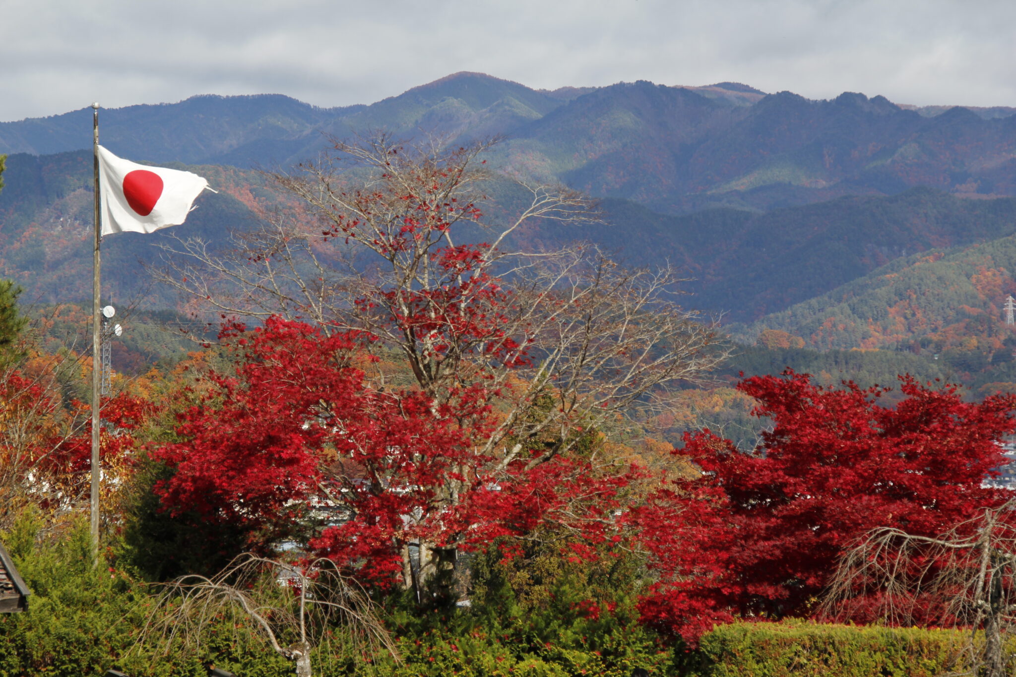 Shirakawa-gō & Gokoyama, Präfekturen Gifu & Toyama, Japan