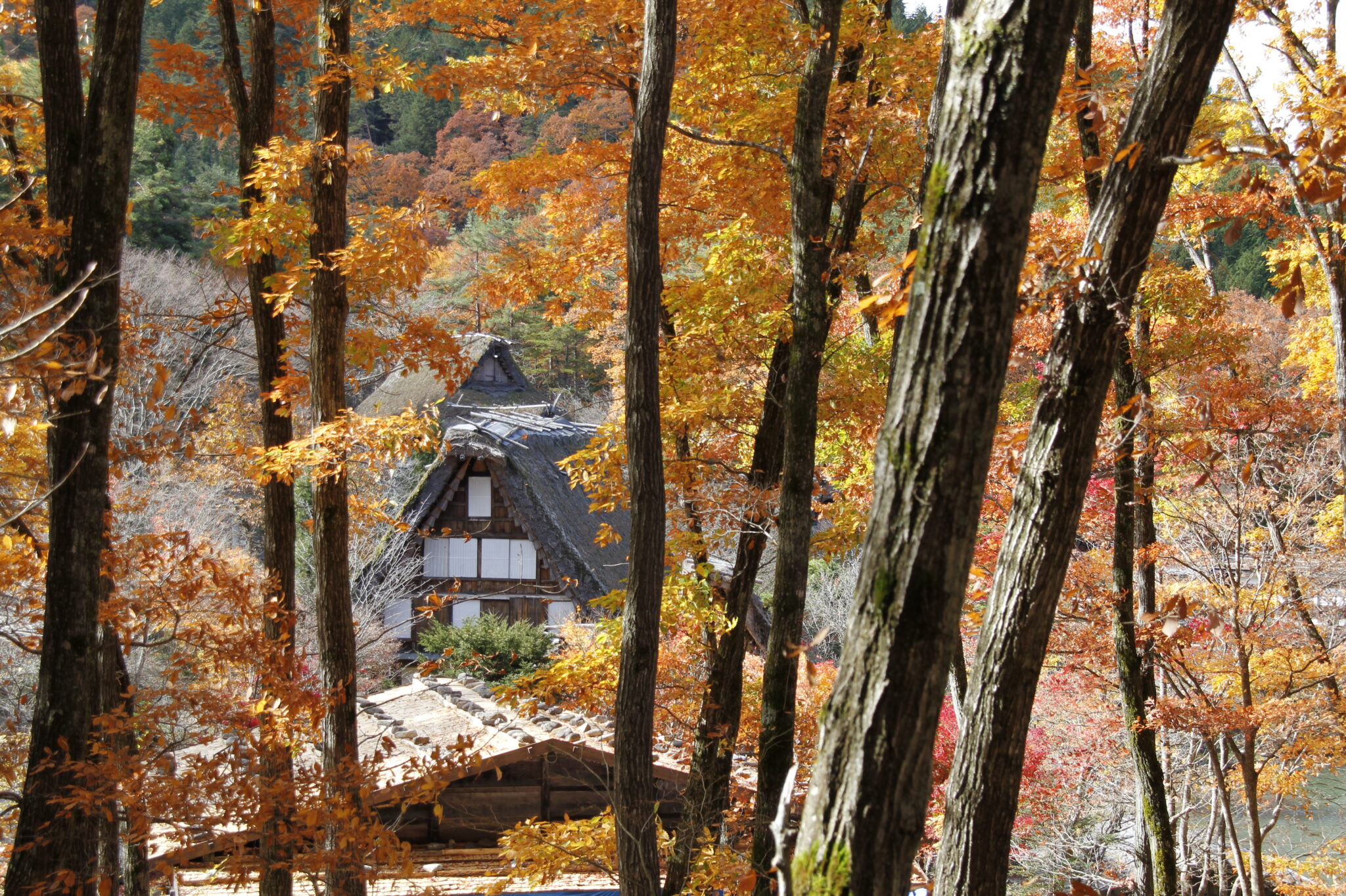 Shirakawa-gō & Gokoyama, Präfekturen Gifu & Toyama, Japan