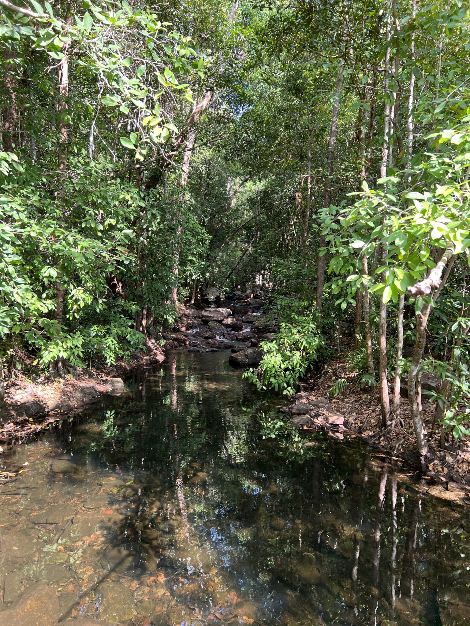 Litchfield National Park in Australien