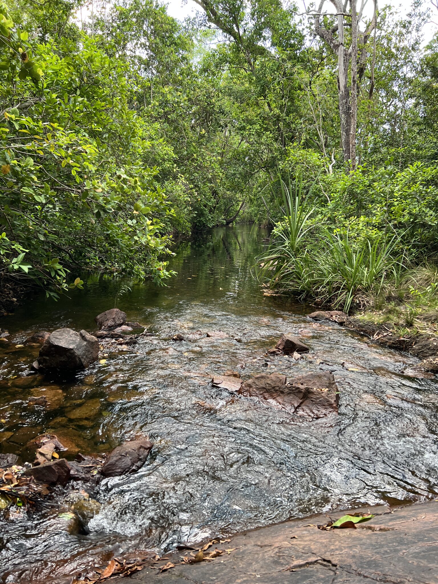 Litchfield National Park in Australien