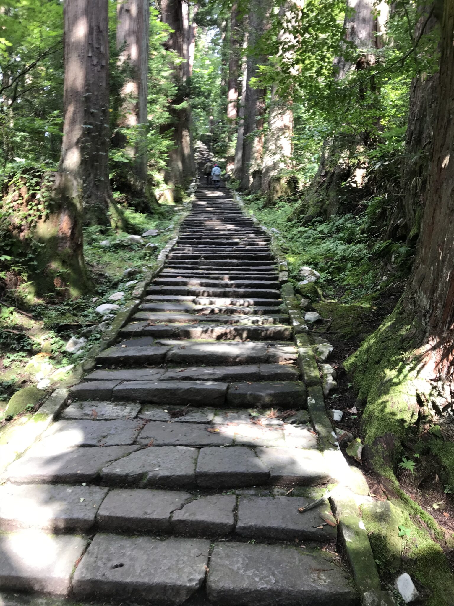 Dewa Sanzan, Yamagata, Treppe