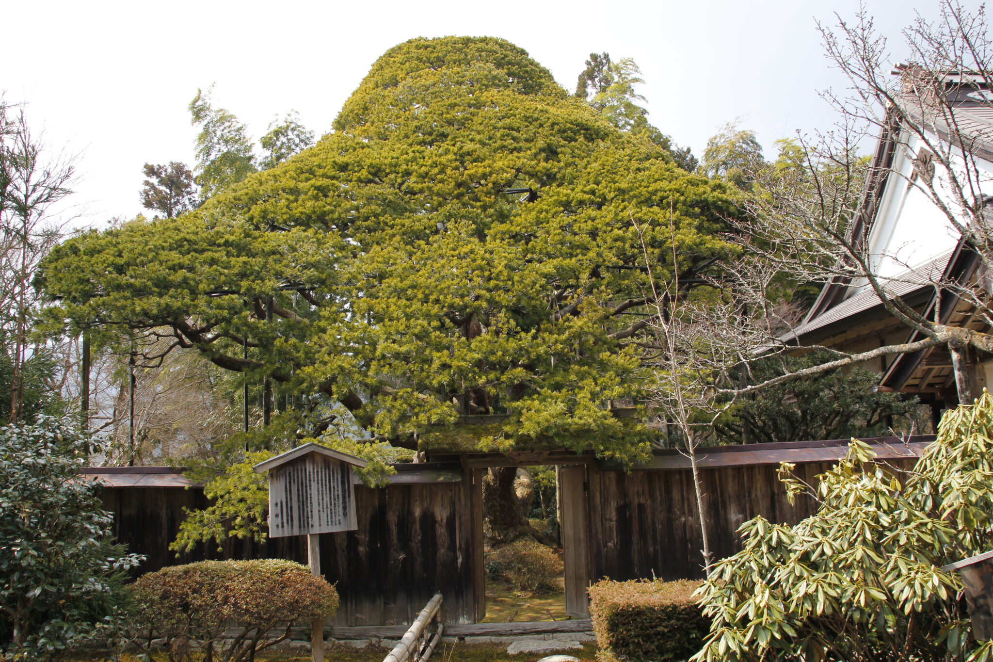 Sanzen-in Tempel, Ōhara, Kyōto, Japan