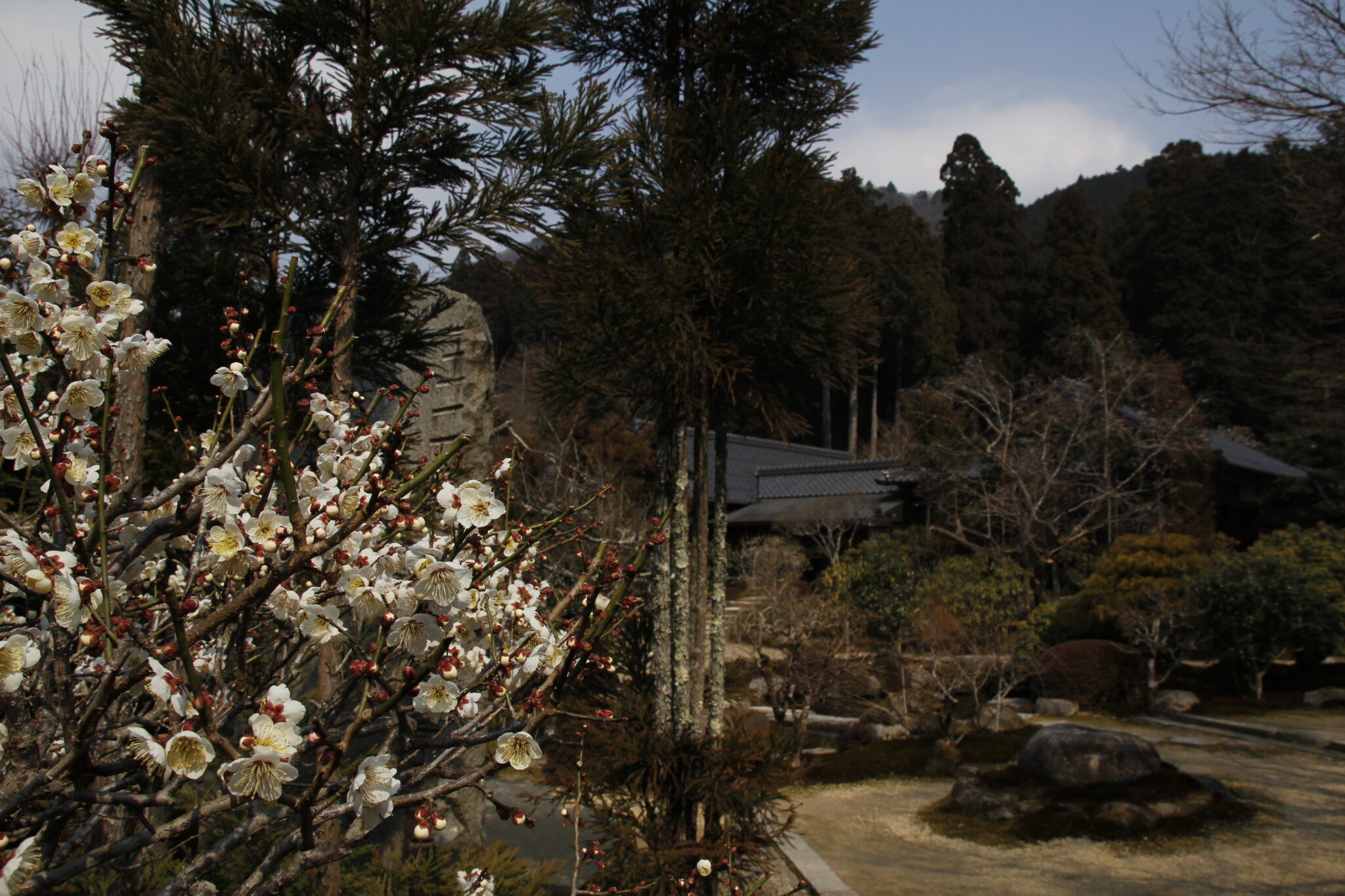 Garten Sanzen-in Tempel, Ōhara, Kyōto, Japan