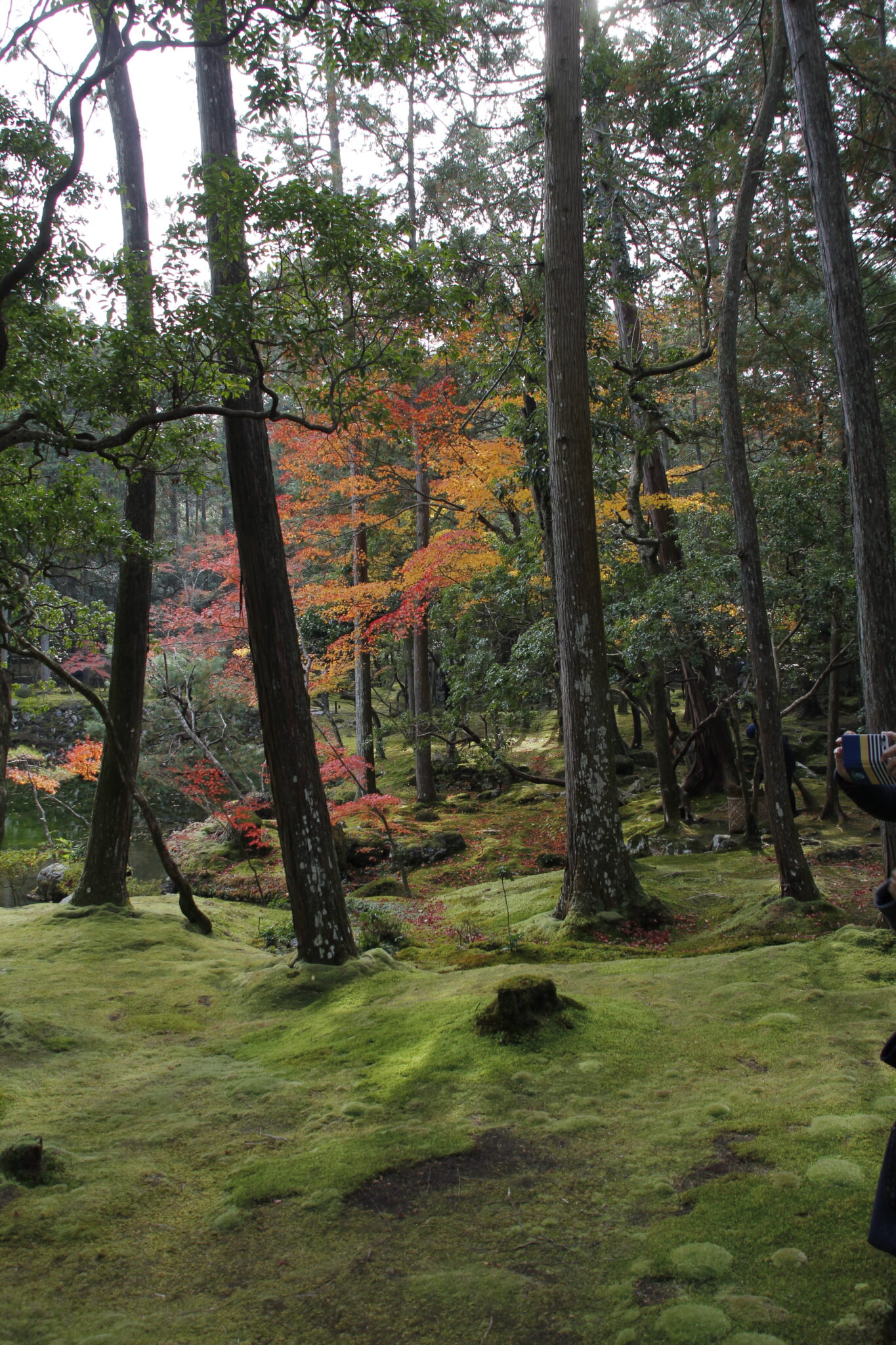 Mooswald Sanzen-in Tempel, Ōhara, Kyōto, Japan