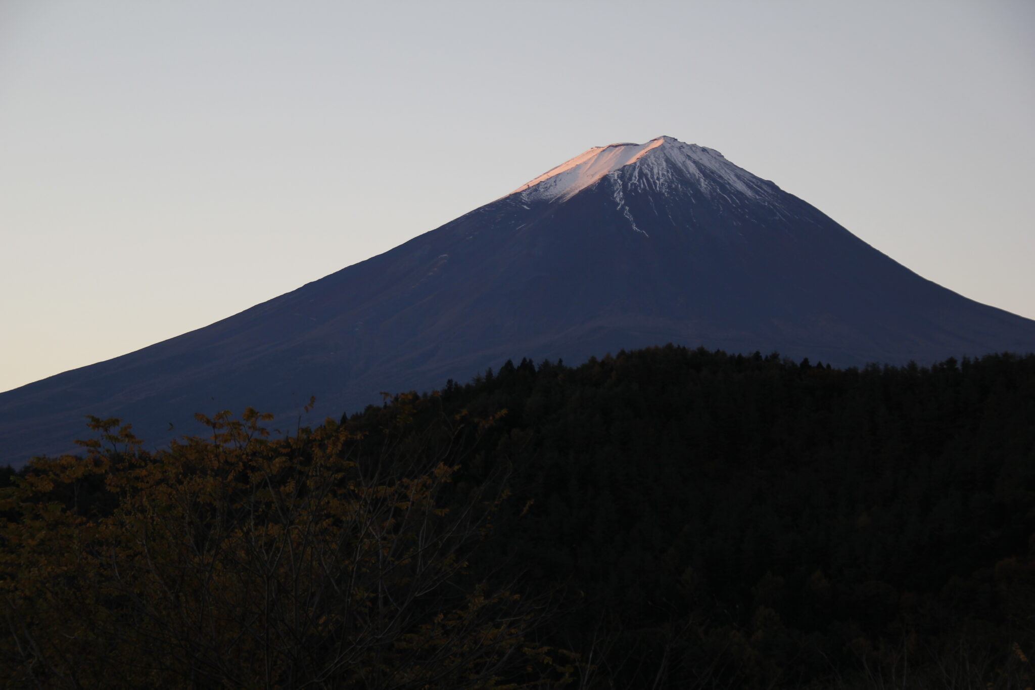 Fuji-san