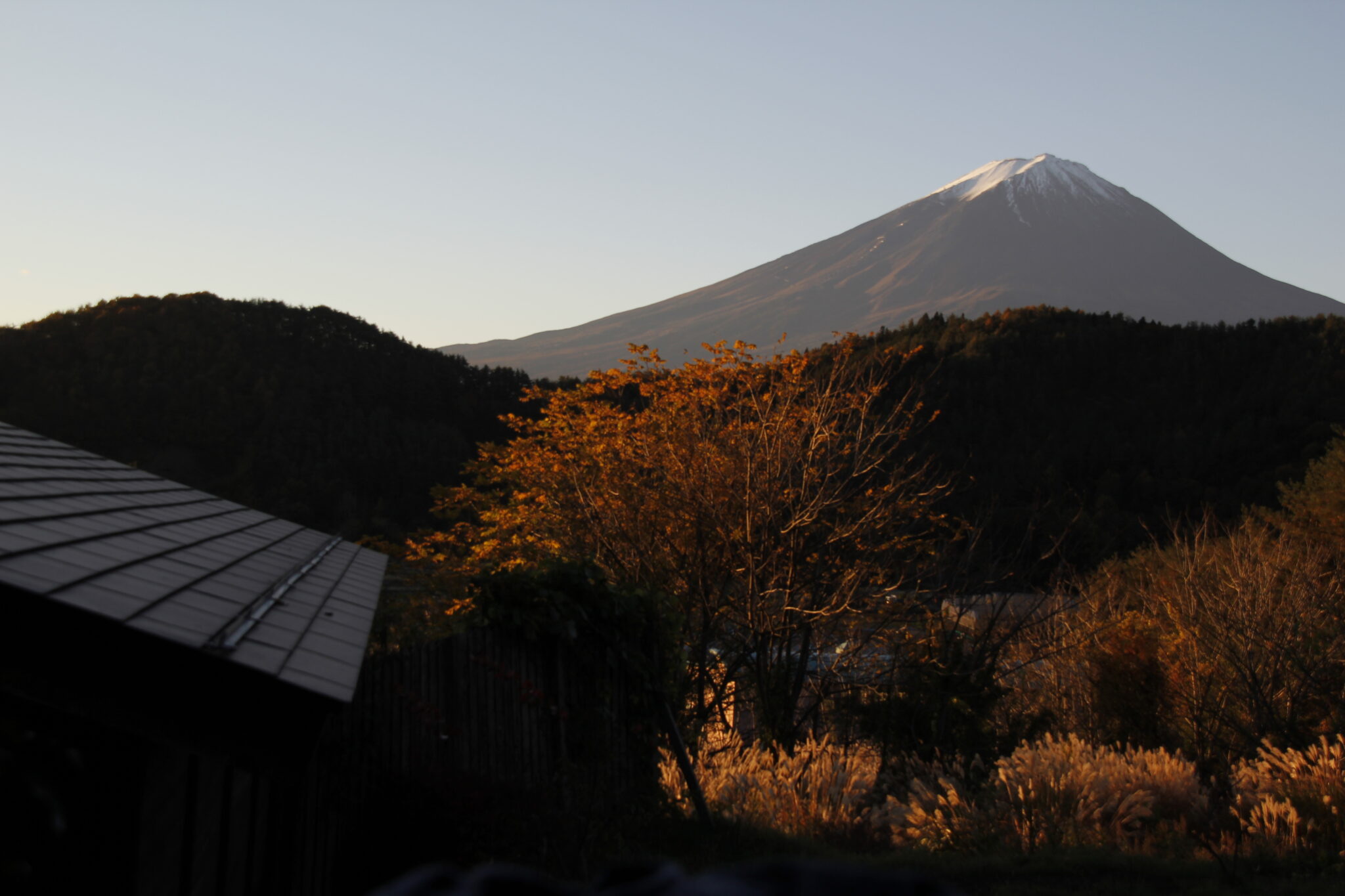 Mt. Fuji