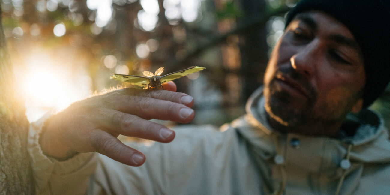 Marteria Der Wald ist nicht genug amazonas Amazonien. Marteria mit einem exotischen Schmetterling auf der Hand, romantisches Licht von hinten