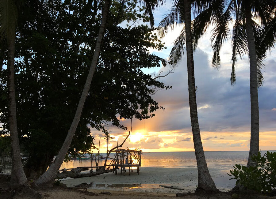 Sulawesi am Abend, Palmen und Meer in der Dämmerung