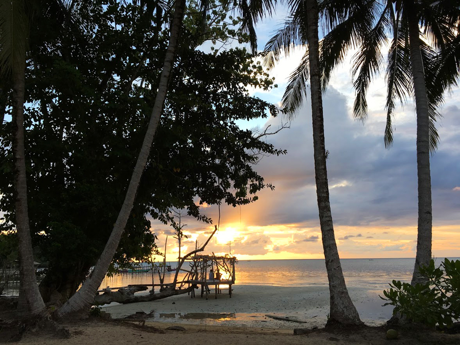 Sulawesi am Abend, Palmen und Meer in der Dämmerung