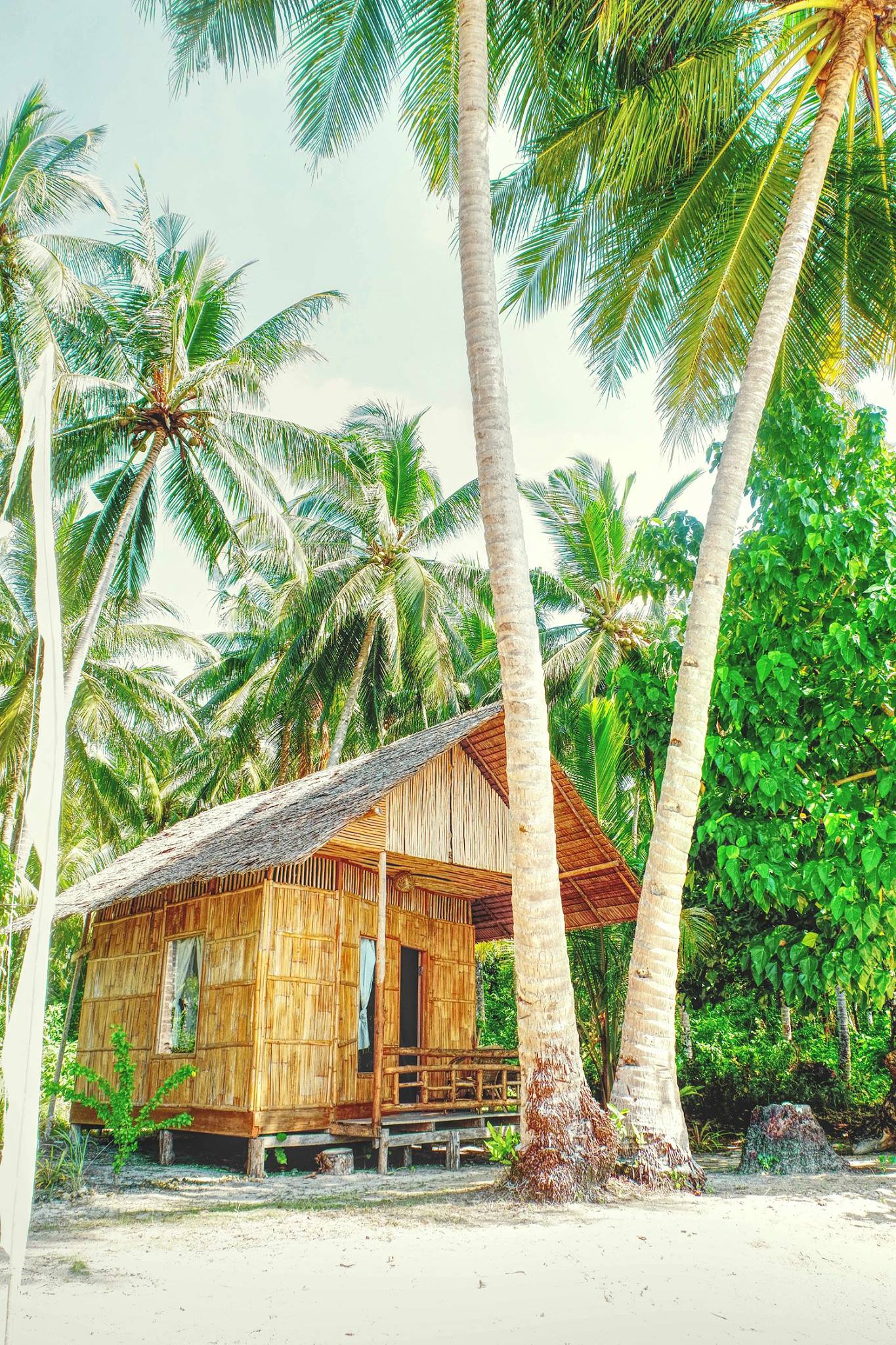 Eine schöne Hütte am Strand mit Palmen in Sulawesi Bild von Local Hideaways