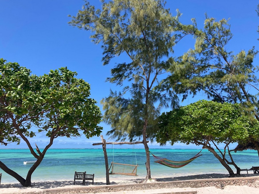 Ein malerisches Panorama, blauer Himmel, grüne Bäume, Strand und eine Hängematte und Schaukelbank vorm Meer in Sansibar / Zanzibar