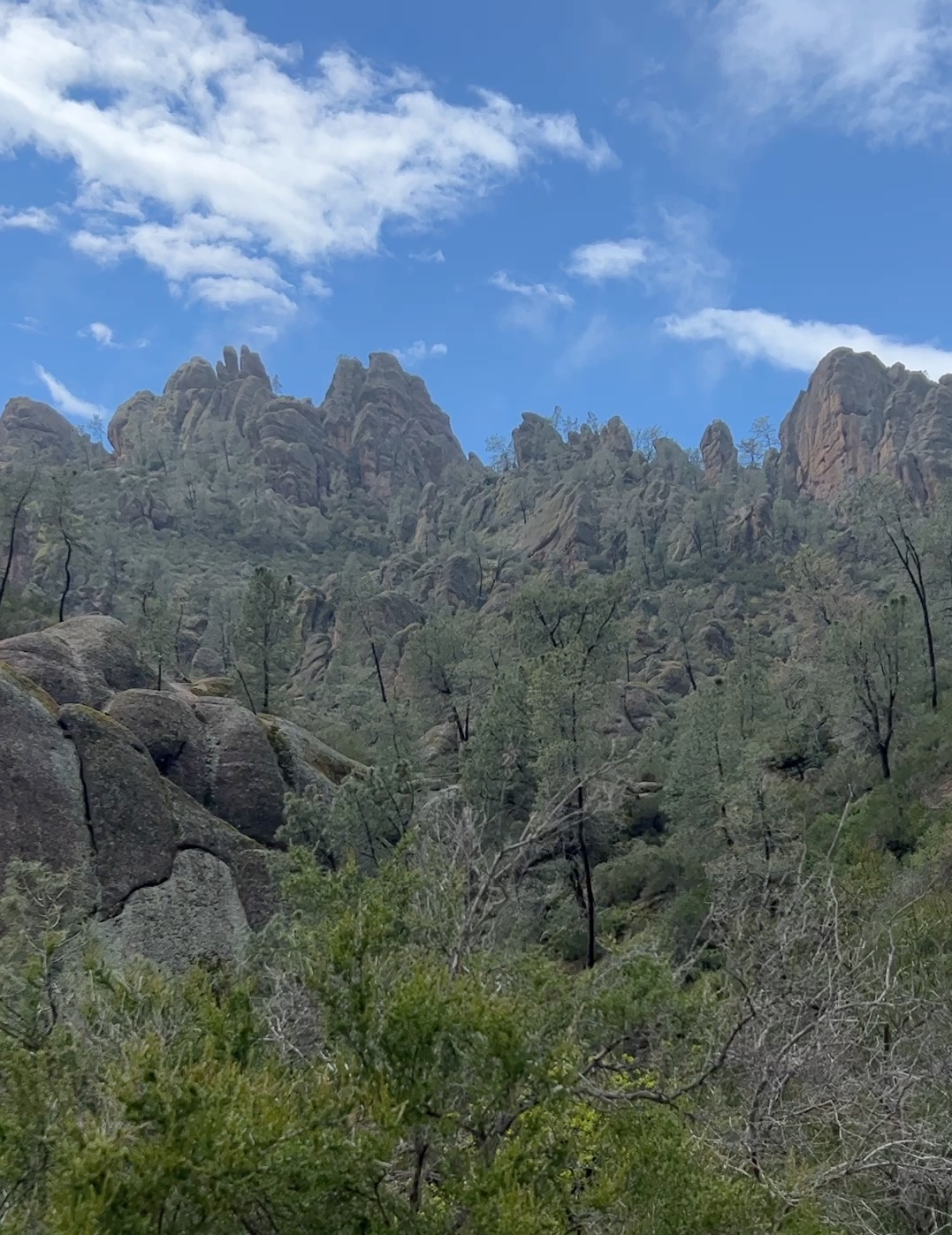 Pinnacles-Nationalpark Kalifornien