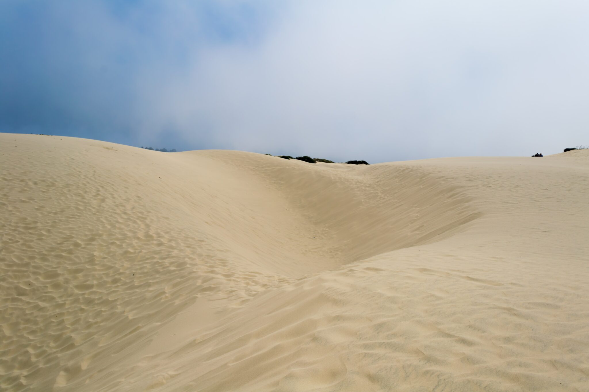 Rancho Guadalupe Dunes Reserve, große Sanddüne vor blauem himmel