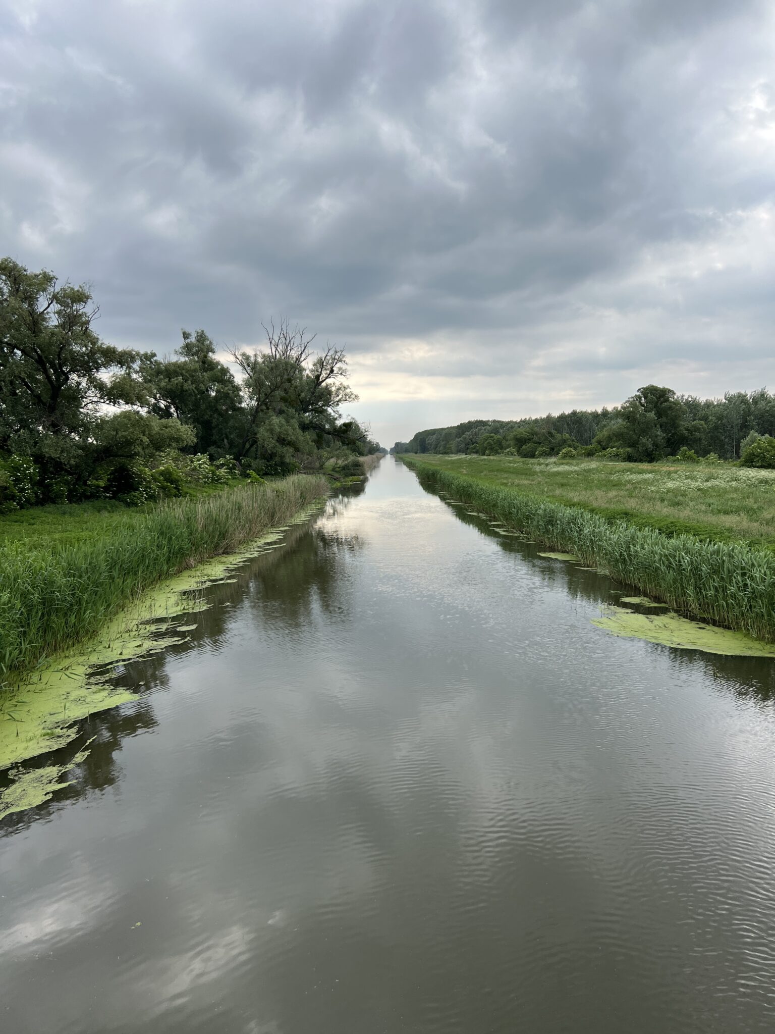 Fluss am Neusiedlersee imBurgenland