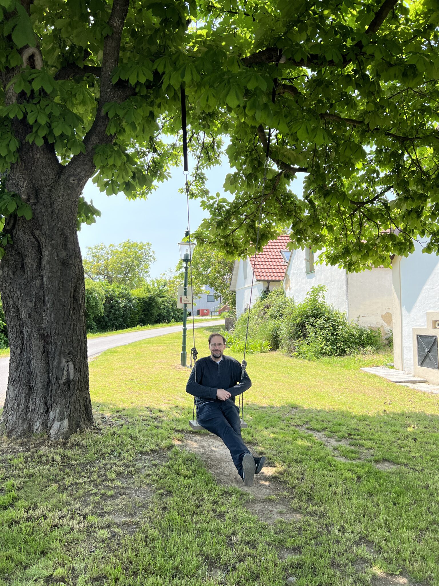 Jochen in Breitenbrunn, Österreich, Burgenland, Schaukelt auch Schaukel an altem Kirschbaum.