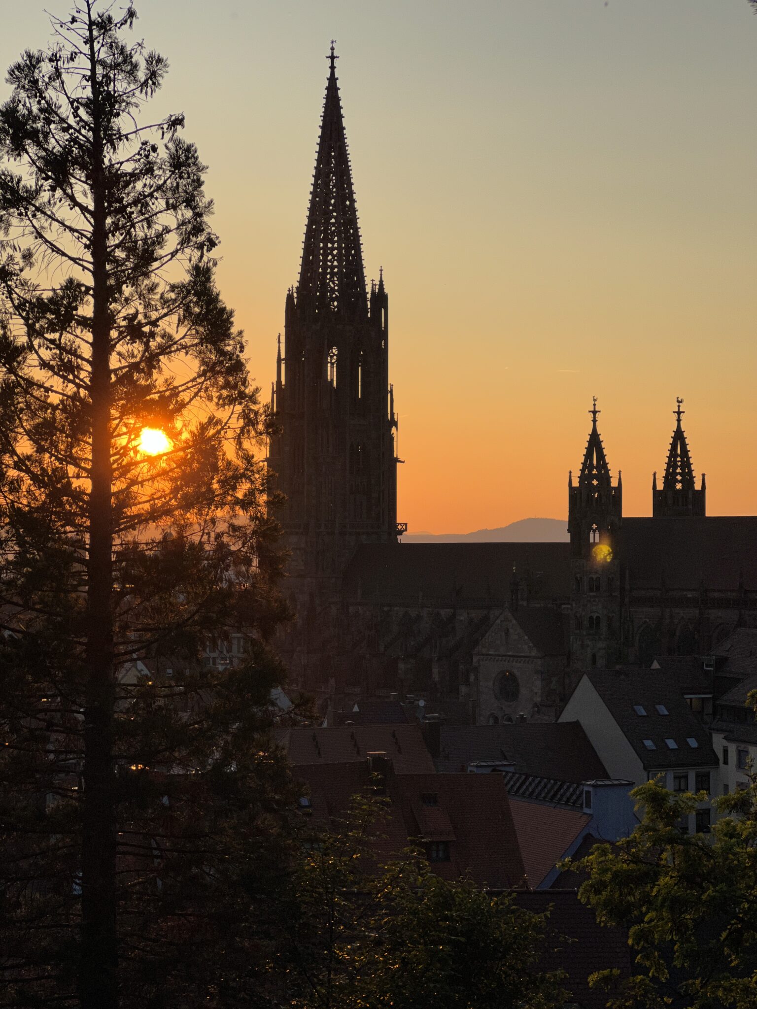 Blick auf Dom Freiburg im Sonnenuntergang Abendlicht